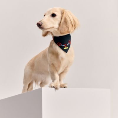 Hermès Equestrian and Dogs Accessories | Hermès Mainland China